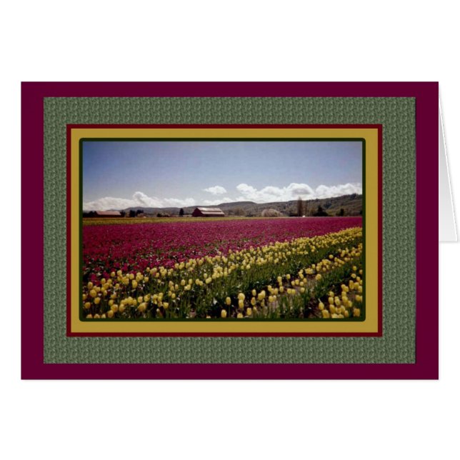 Carte vide de champ de tulipe (Devant horizontal)