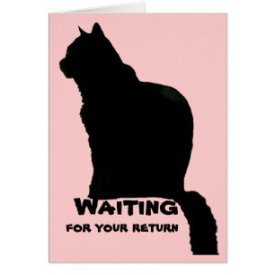 Carte - vide - Silhouette de chat