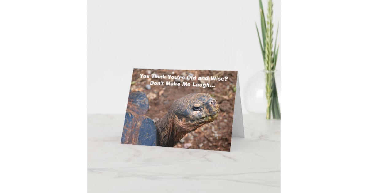 Carte Vieil Humour Sage De Joyeux Anniversaire De Tortue Zazzle Fr Carte Vieil Humour Sage De Joyeux Anniversaire De Tortue Zazzle Fr