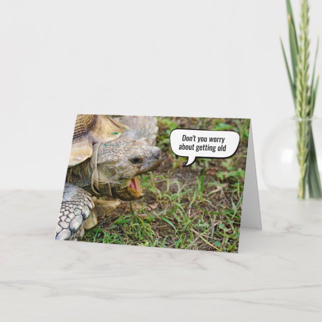 Carte Vieille Tortue Vieille Anniversaire (Devant)