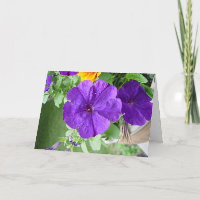 CARTE VIERGE (Devant)