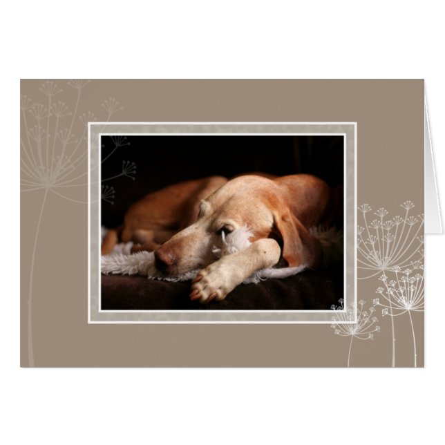 Carte vierge 004 de Vizsla de Hongrois (Devant horizontal)