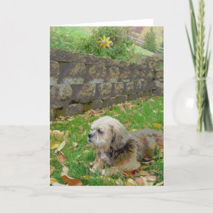 Carte vierge avec adoptif