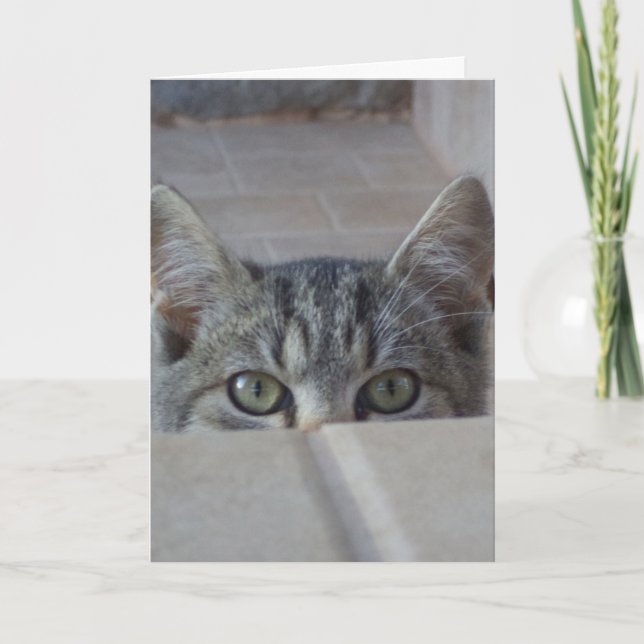 Carte vierge avec chaton peek-a-boo (Devant)