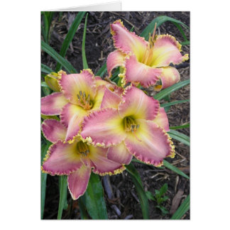 Carte vierge avec Mojave Morning