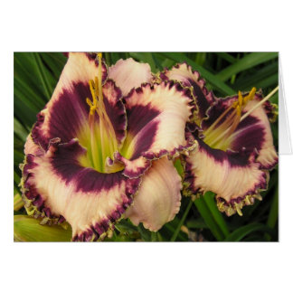 Carte vierge avec paire d'Eyed Daylilies