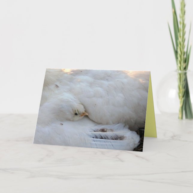 Carte vierge avec verso (Devant)