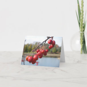 Carte vierge - Berries rouges