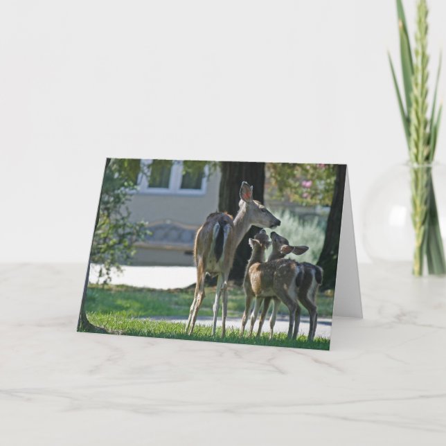 Carte vierge, Cerf de Bébé (Devant)