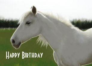 Cartes Cheval Blanc D Anniversaire Zazzle Fr