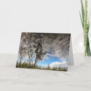 Carte vierge d'arbres de roche de chat