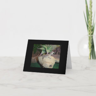 Carte vierge de bébé dragon barbu