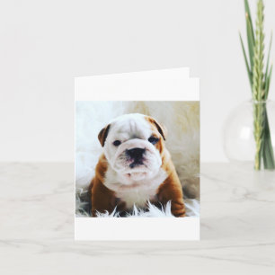 Carte vierge de bouledogue britannique