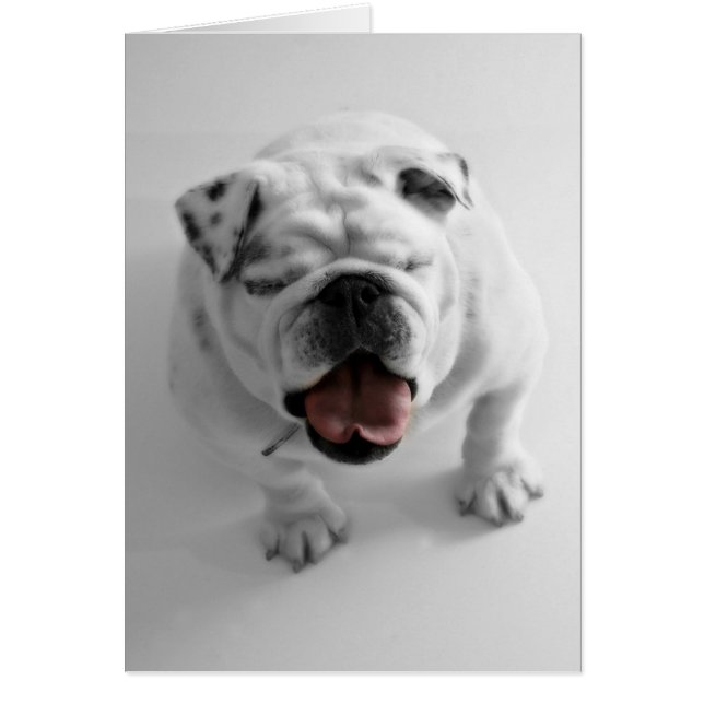 Carte vierge de bouledogue génial (Devant)