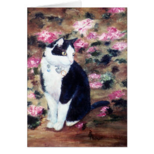 Carte vierge de chat de Kaboodles