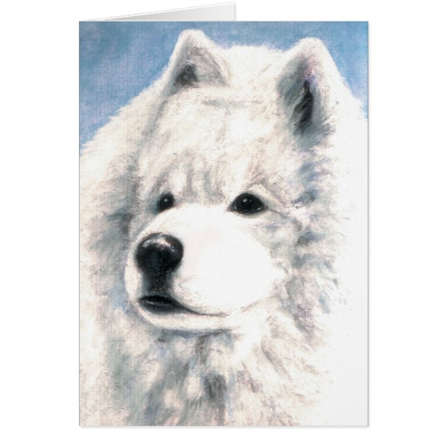 Carte vierge de chien de Samoyed (Devant)