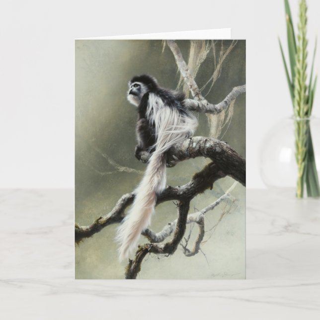 Carte vierge de Colobus par Andrew Denman (Devant)