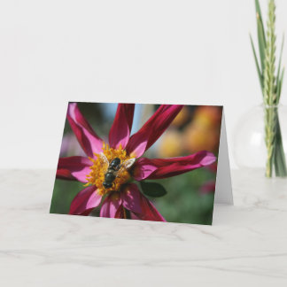 Carte vierge de dahlia et d'abeille