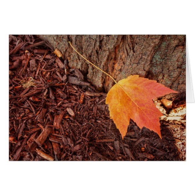 Carte vierge de feuille d'automne (Devant horizontal)