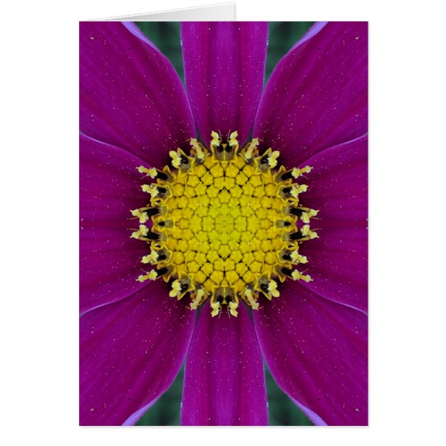 Carte vierge de fleur (Devant)