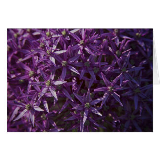Carte vierge de fleur florale pourpre