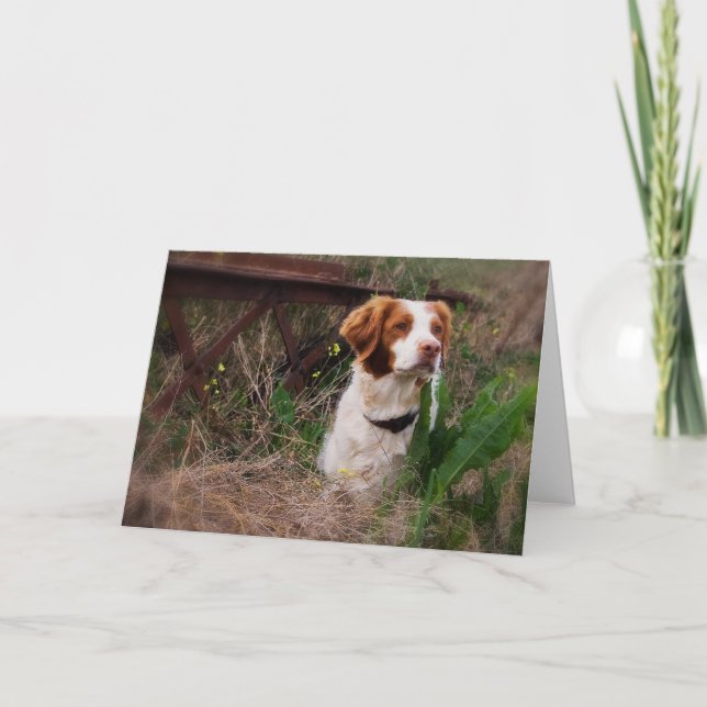 Carte vierge de la Bretagne (Devant)