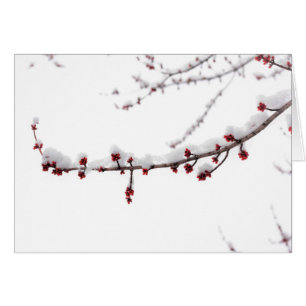 Carte vierge de neige d'avril