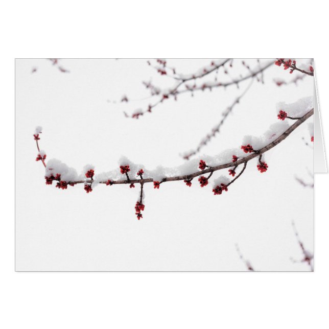 Carte vierge de neige d'avril (Devant horizontal)