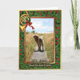 Carte vierge de Noël de golden retriever