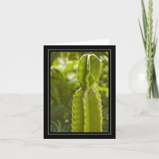 Carte vierge de note de cactus