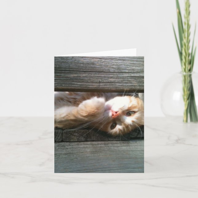 carte vierge de note de chat (Devant)