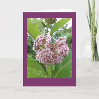 Carte vierge de note de Milkweed