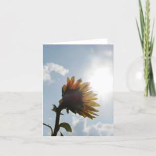 Carte vierge de note de tournesol