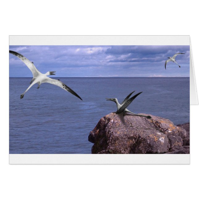Carte vierge de Rhamphorhynchus (Devant Horizontal)