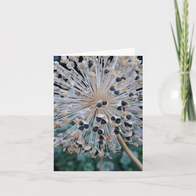 Carte vierge d'explosion de cosse de graine (Devant)