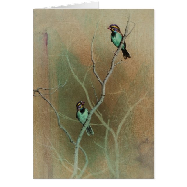 Carte vierge d'oiseau par Andrew Denman (Devant)