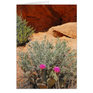 Carte vierge, DSCF0348, ~in votre words~