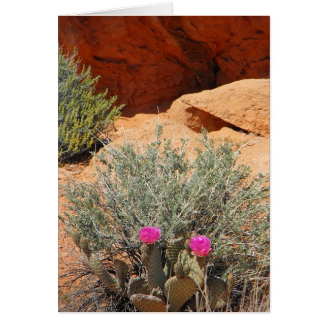 Carte vierge, DSCF0348, ~in votre words~ (Devant)