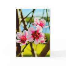 Carte vierge Fleurs de printemps