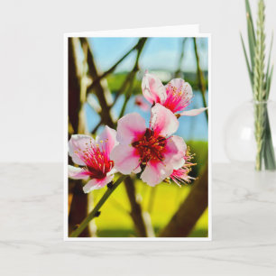Carte vierge Fleurs de printemps