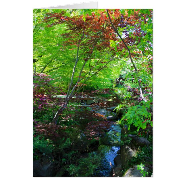 Carte vierge, jardin botanique (Devant)