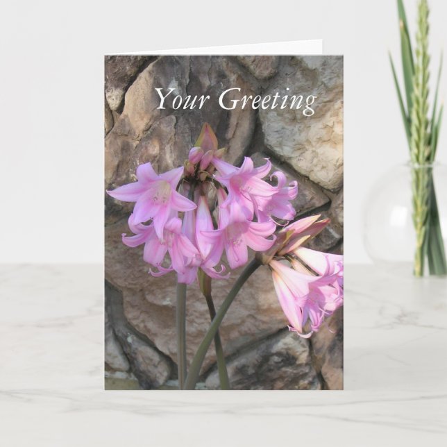 Carte - vierge - Pink Ladies (Devant)