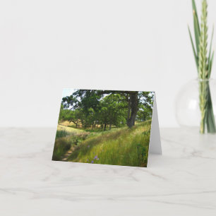 Carte vierge, pittoresque