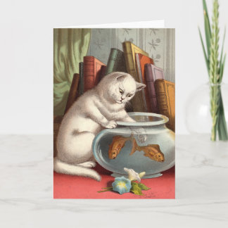 Carte vierge - série vilaine de chat - chat de