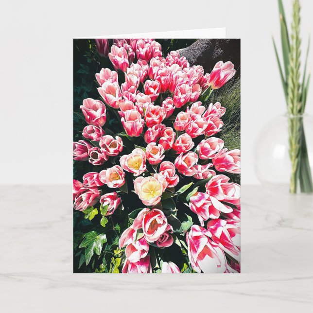 Carte vierge Tulipes de printemps (Devant)