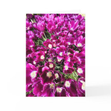 Carte vierge tulipes violettes