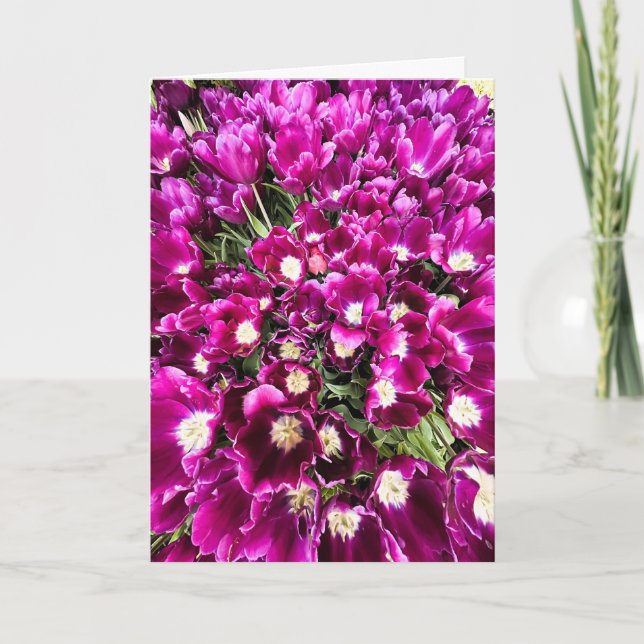 Carte vierge tulipes violettes (Devant)