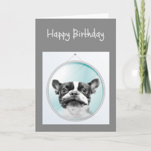 Carte Vieux Anniversaire Amusant Français Chien Chien Ch