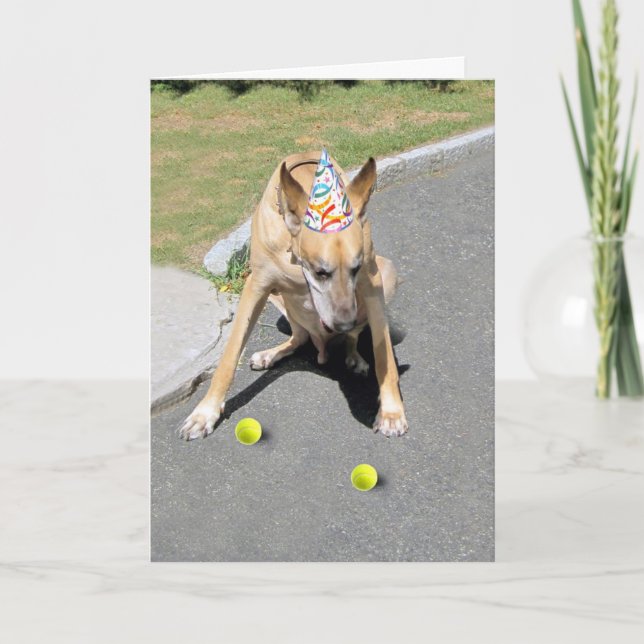 Carte Vieux chien (Devant)