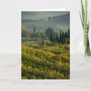 Carte Vignoble, Toscane, Italie